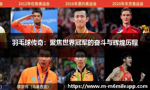 羽毛球传奇：聚焦世界冠军的奋斗与辉煌历程